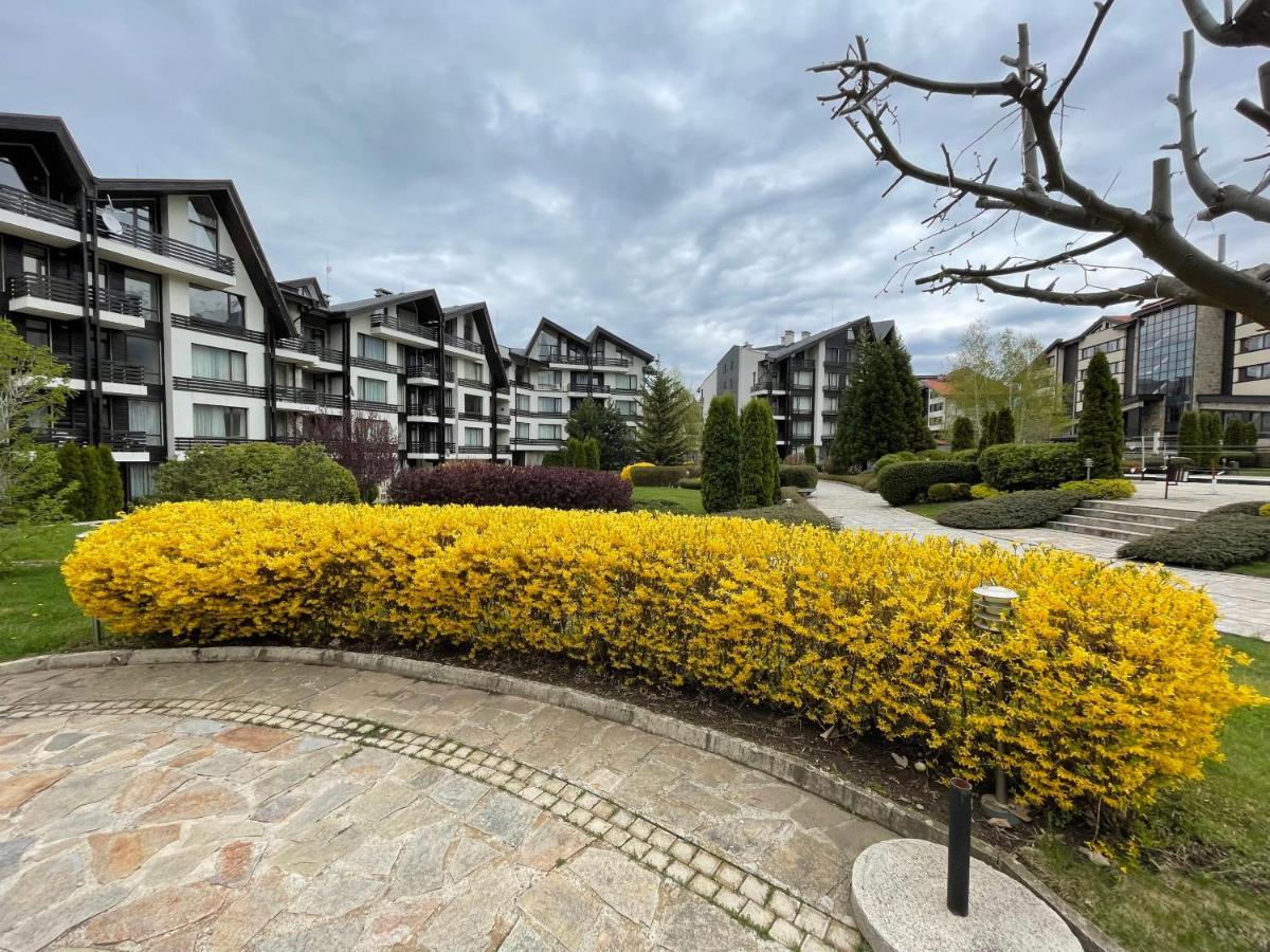 Pirin Dream View Apartments Razlog Exteriör bild